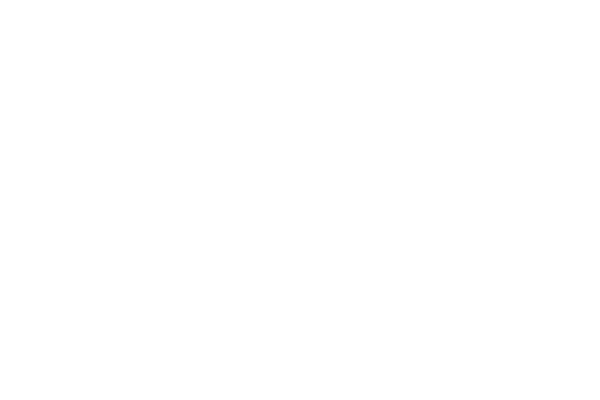 Bezier Curve